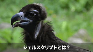 シェルスクリプトとは