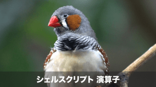 シェルスクリプトの演算子