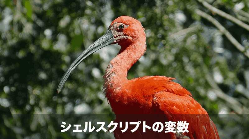 シェルスクリプト 変数