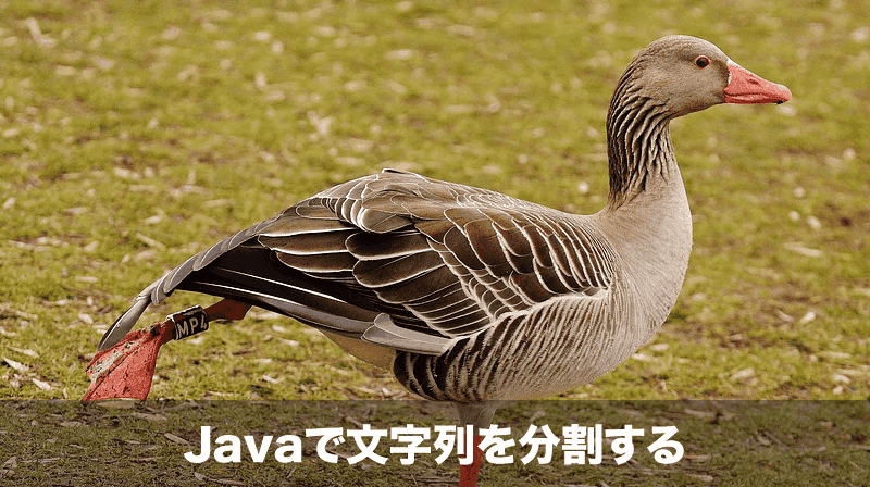 Javaで文字を分割するsplit