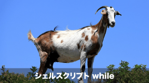 シェルスクリプトのwhile