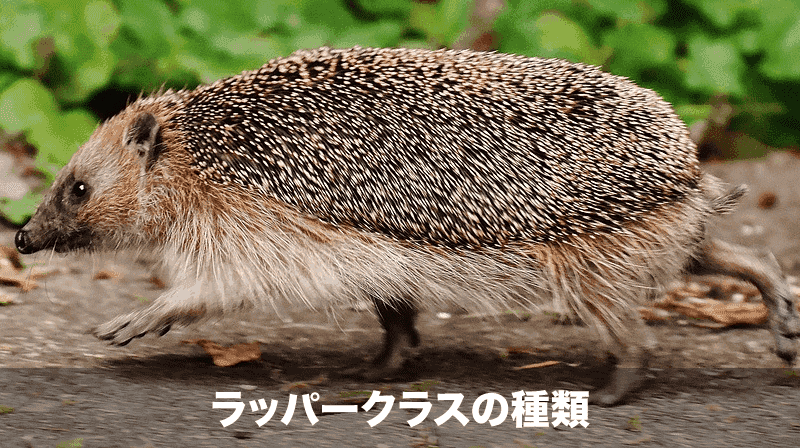 ラッパークラスの種類