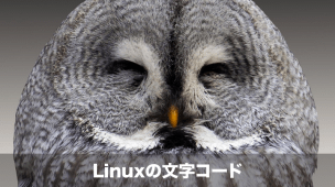 linuxの文字コード