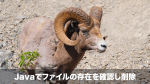 ファイルの確認と削除