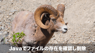 ファイルの確認と削除