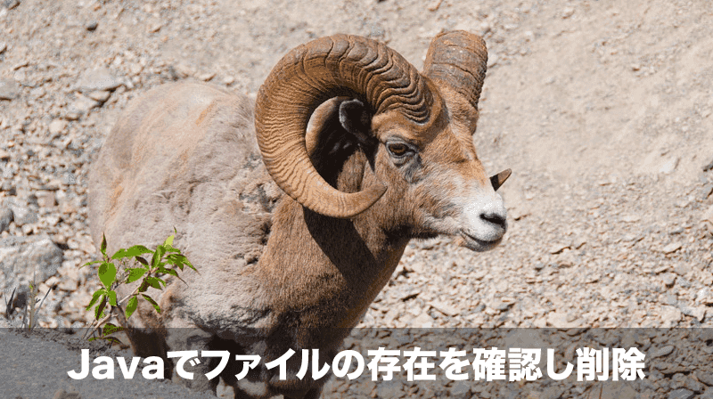 ファイルの確認と削除