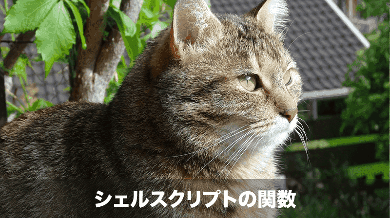 シェルスクリプトの関数