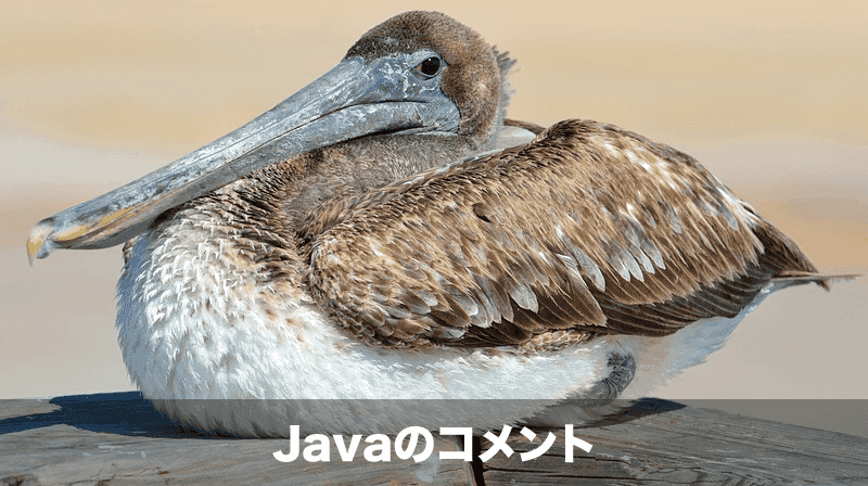 Javaのコメント