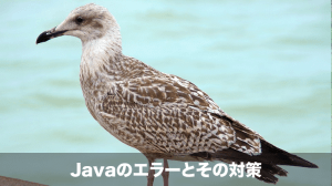 java エラー