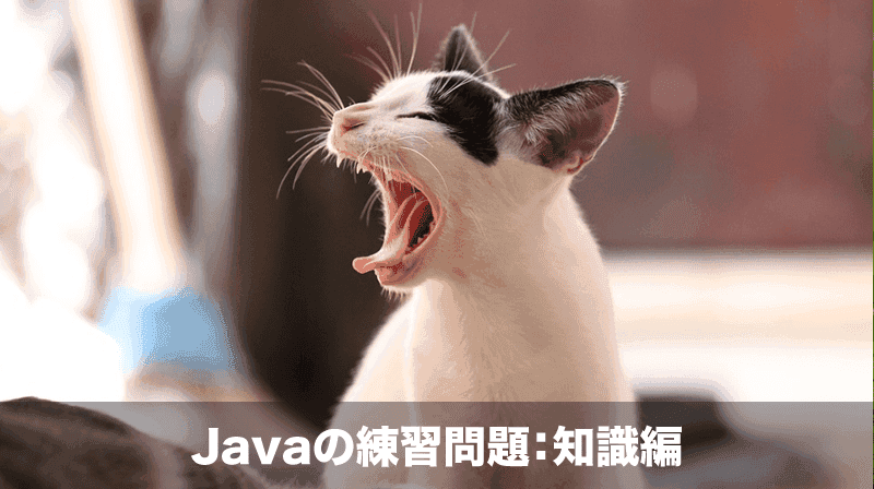 java 練習問題