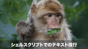 シェルスクリプトでの改行