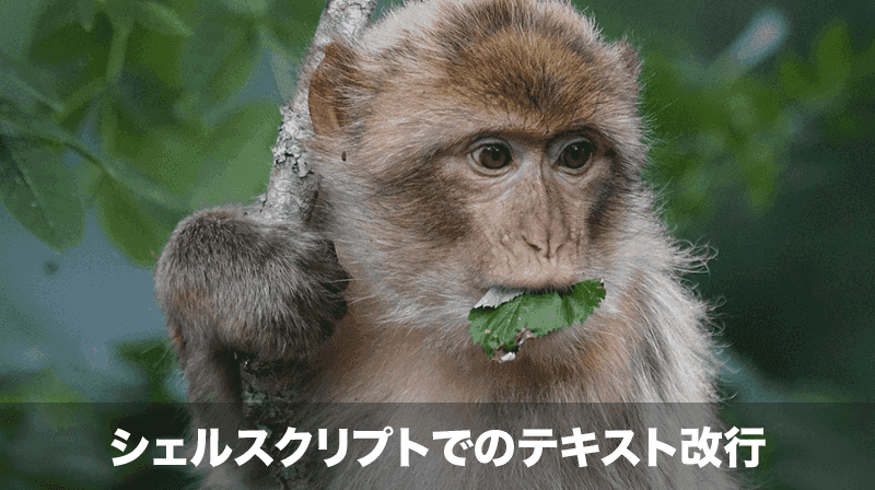 シェルスクリプトでの改行