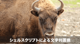 文字列の置換と削除