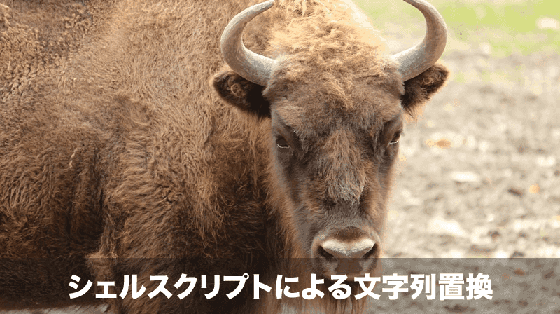 文字列の置換と削除