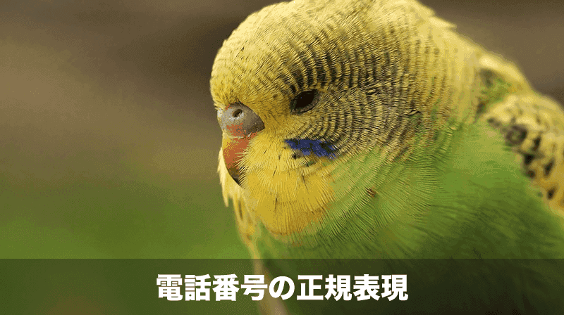 電話番号の正規表現