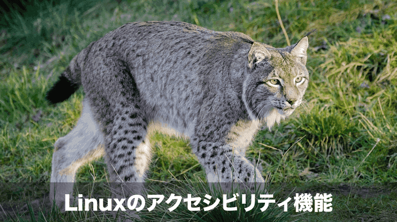 アクセシビリティ
