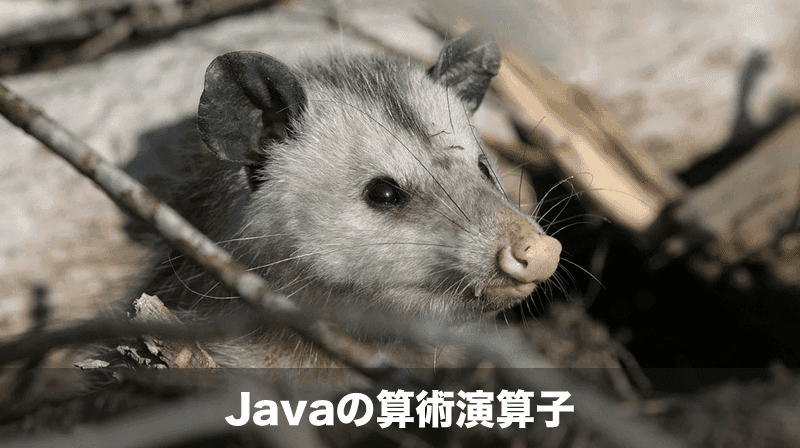 javaの算術演算子