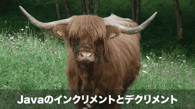 Javaのインクリメントとデクリメント