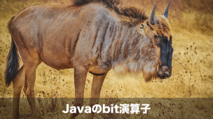 javaのbit演算子
