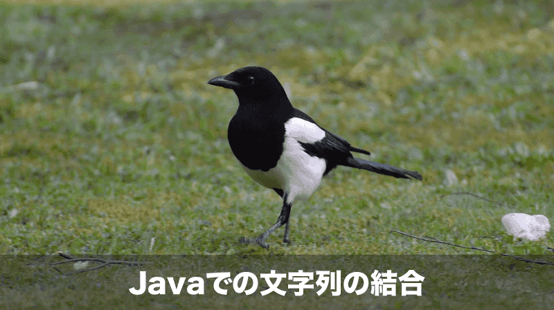 java文字列の結合