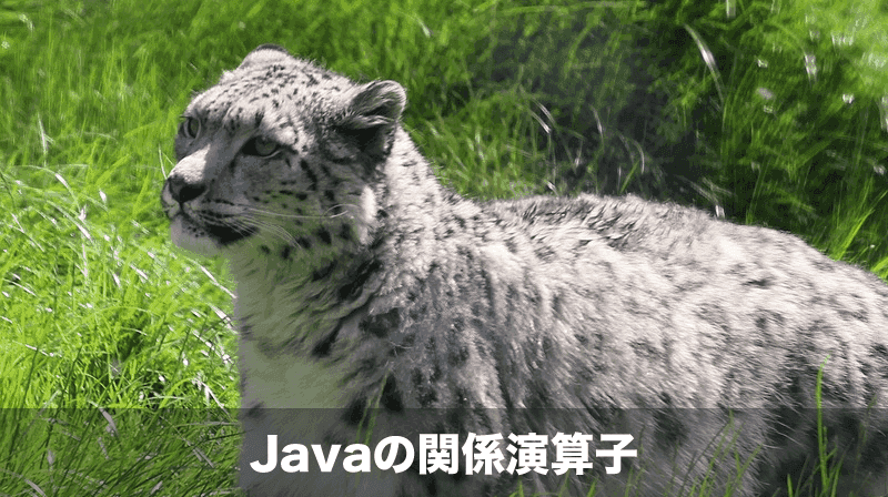 javaの比較演算子