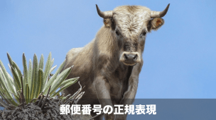 郵便番号の正規表現