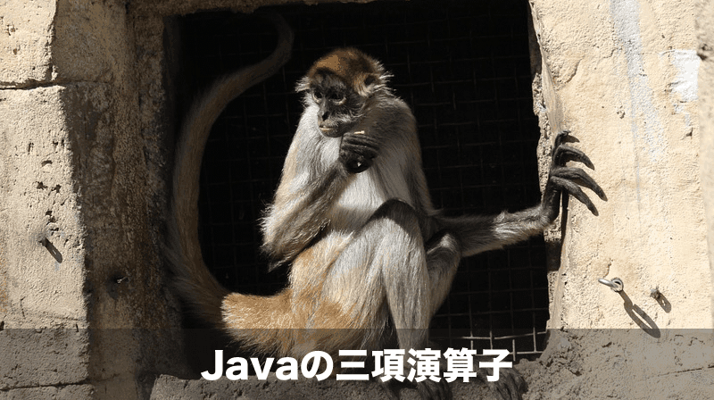 javaの三項演算子