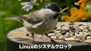 Linuxのシステムクロック