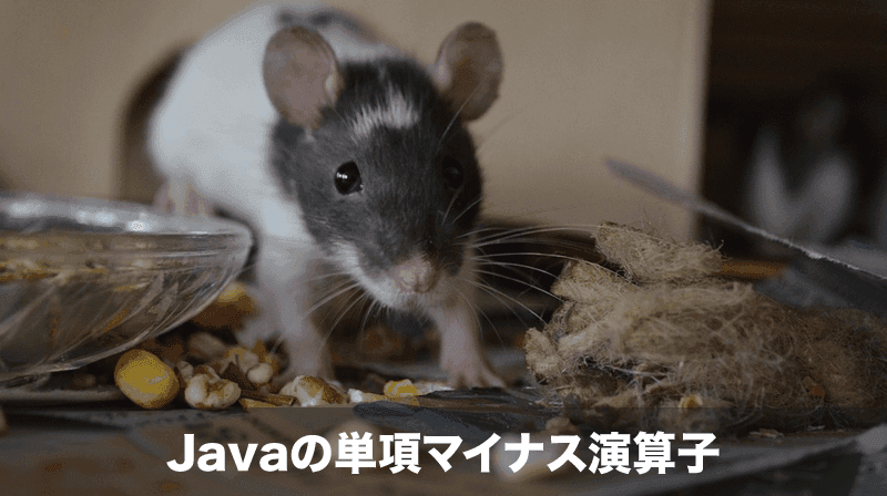 単項マイナス演算子