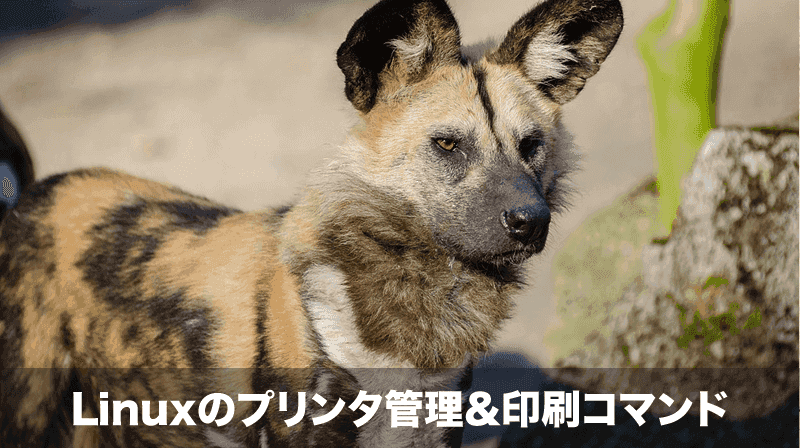 Linuxのプリンタ管理&印刷コマンド