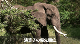 java 演算子の優先順位