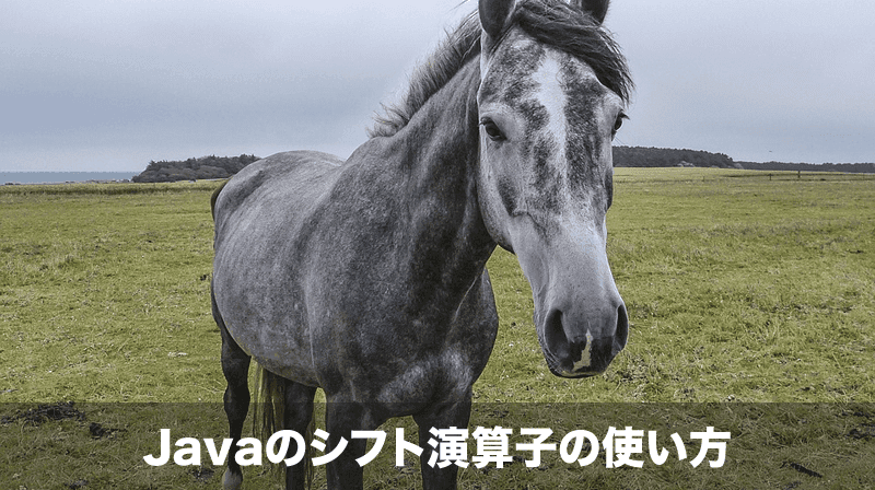 javaのshift演算子