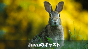 javaのcast