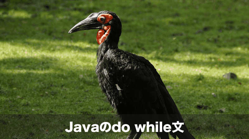 javaのdo while