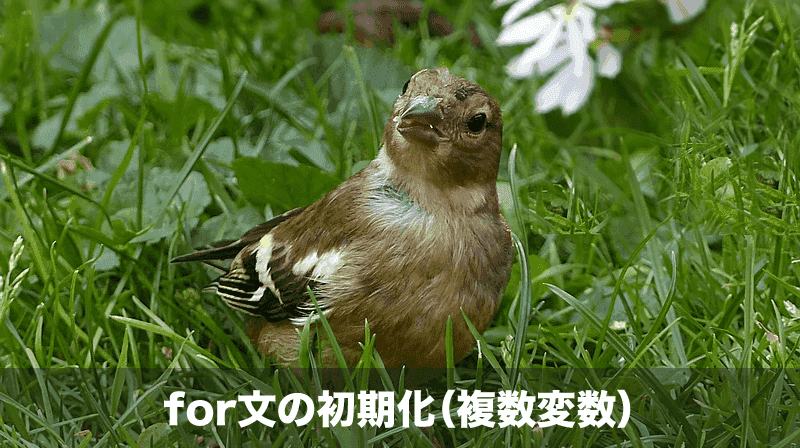 forでの複数変数の初期化と更新