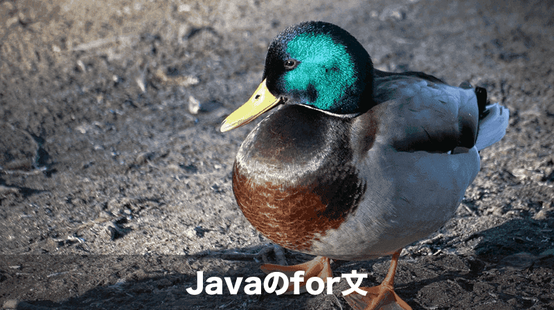 javaのfor文