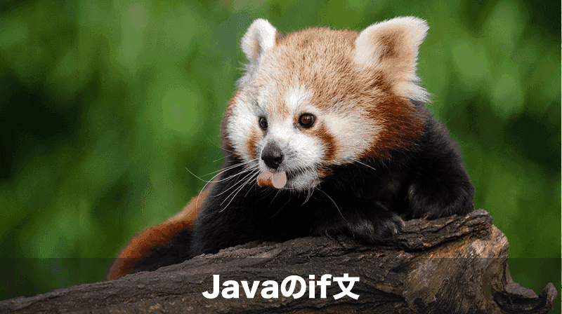 javaのif文