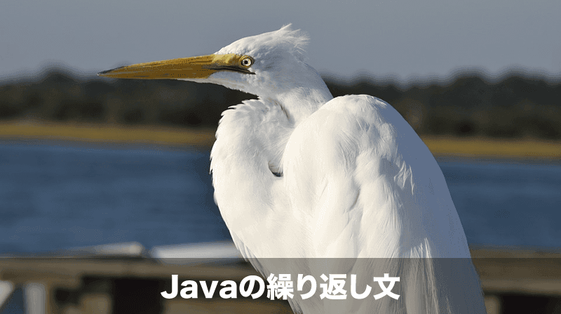 javaの繰り返し分