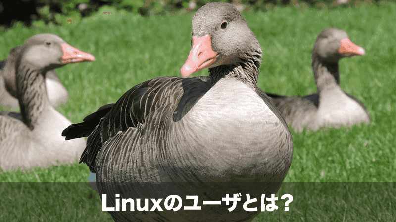 Linuxのuserとは