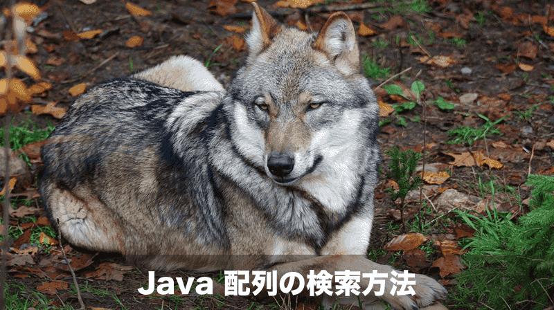 Java 配列の検索方法