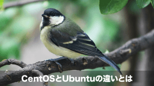 centosとubuntuの違い