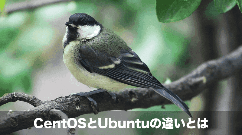 centosとubuntuの違い