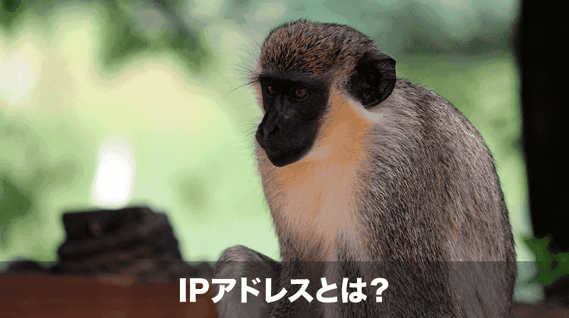 ipアドレス