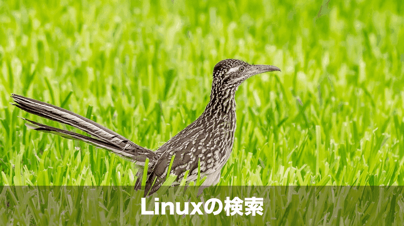 linuxの検索方法