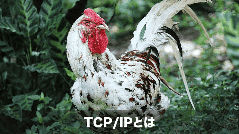 tcpipとは