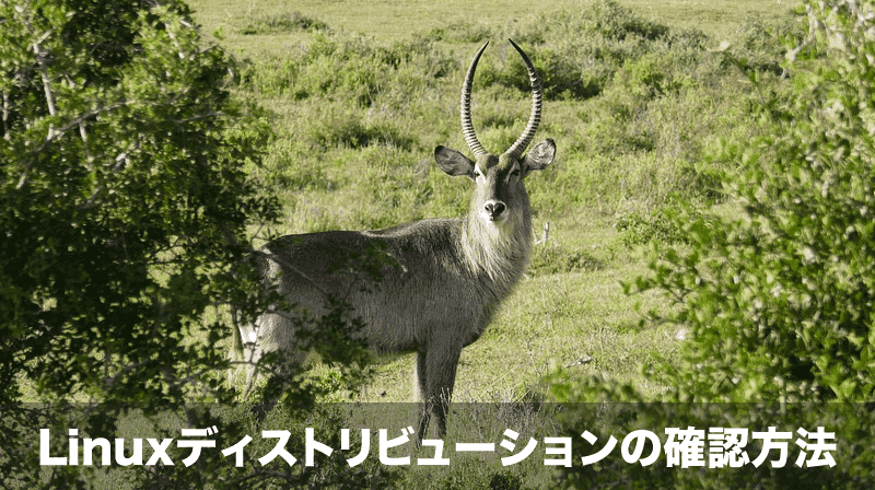Linuxディストリビューションの確認方法