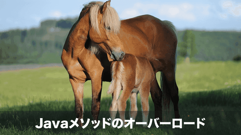 javaのメソッドオーバーロード