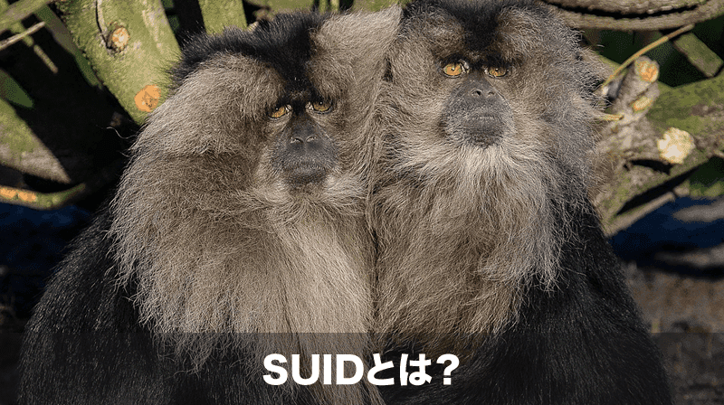 suid