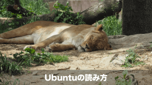 ubuntuの読み方