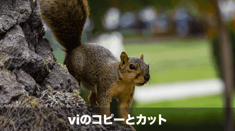 viのコピーとカット